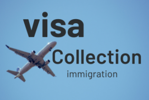 visa collection official logo